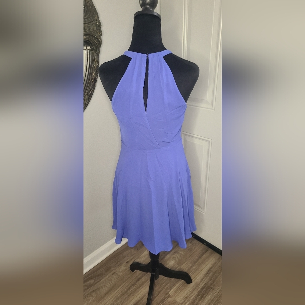 Express periwinkle dress - Picture 3 of 8
